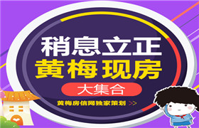 独家：黄梅及小池区域 现房与准现房大集合