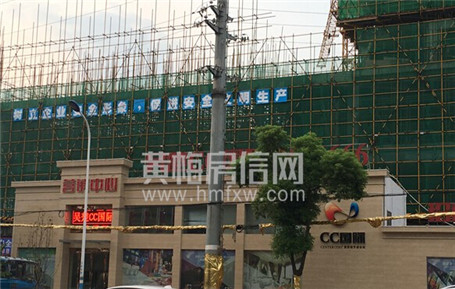 吴楚•CC国际