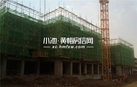 至信·滨江国际