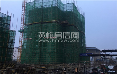 君迈.黄梅府